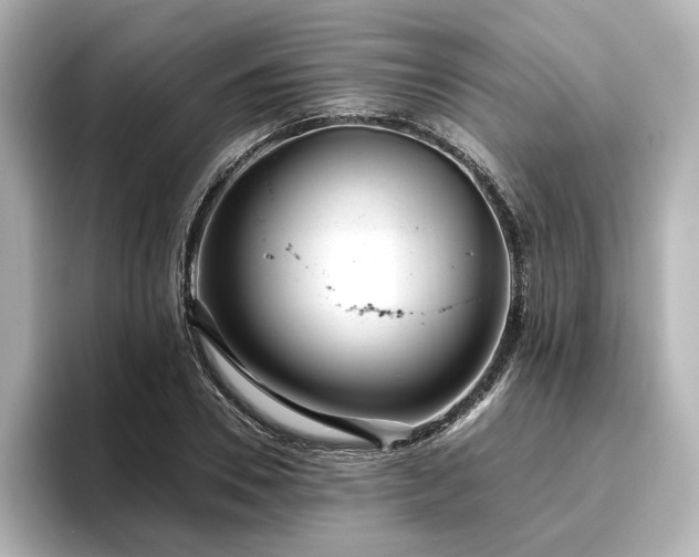 X0000096450930200801241415