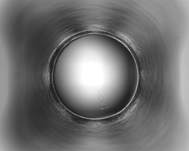 X0000096450931200801241416
