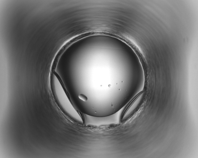 X0000096450932200801241416