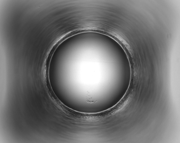 X0000096450933200801241416
