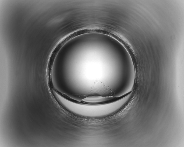 X0000096450935200801241416