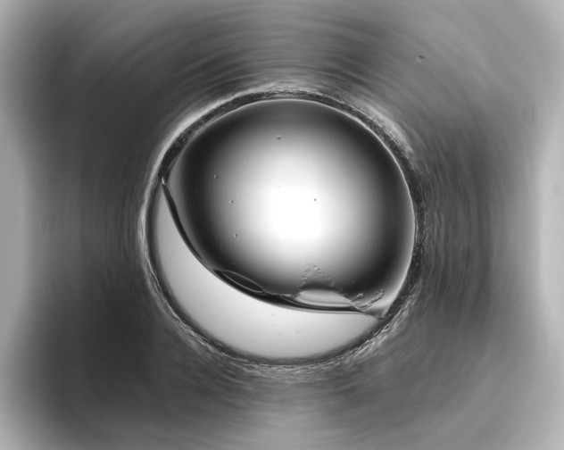 X0000096450936200801241416