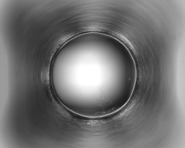 X0000096450938200801241416
