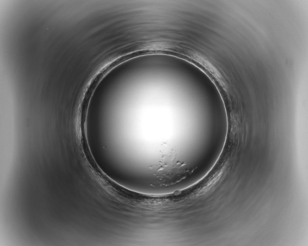 X0000096450939200801241416