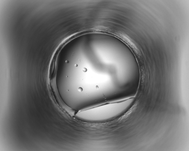 X0000096450940200801241416