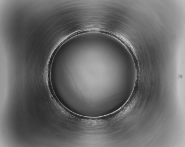 X0000096450941200801241416