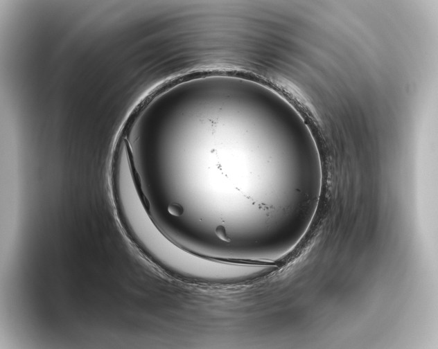 X0000096450942200801241416