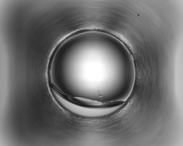 X0000096450943200801241416