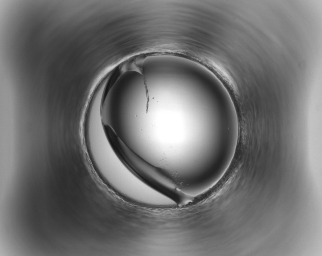 X0000096450944200801241416