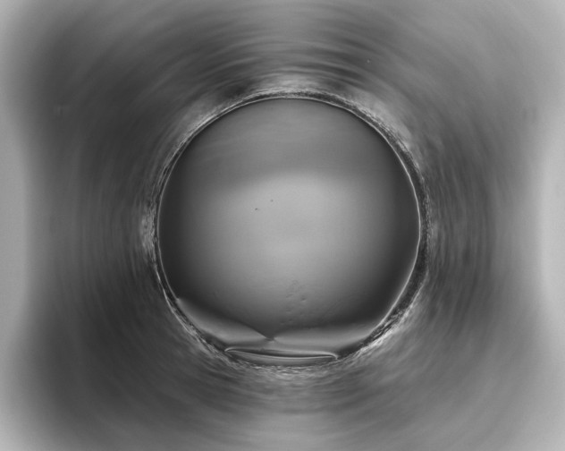 X0000096450945200801241416