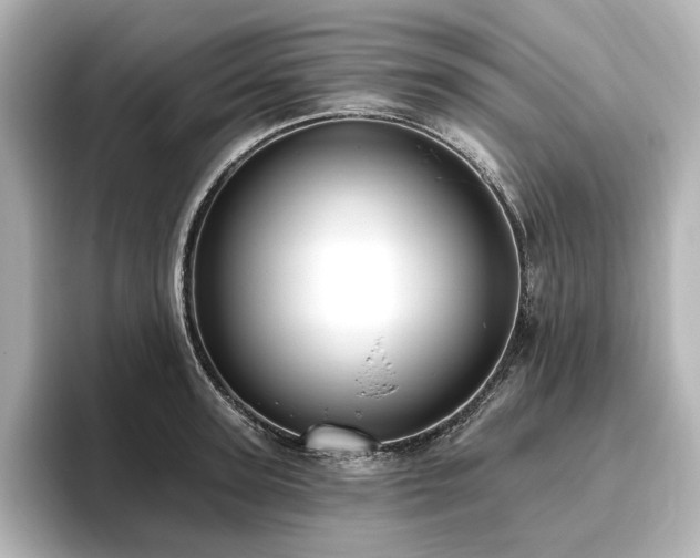 X0000096450947200801241416