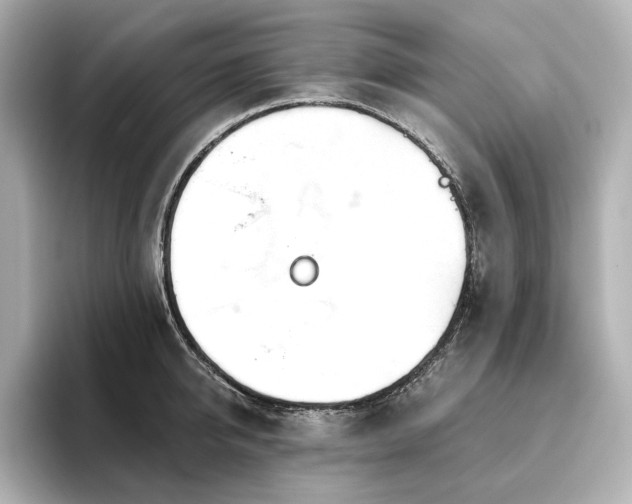 X0000096450950200801241416
