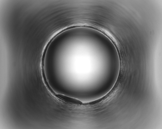 X0000096450951200801241416