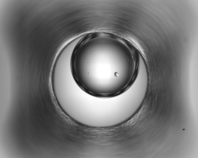 X0000096450952200801241416