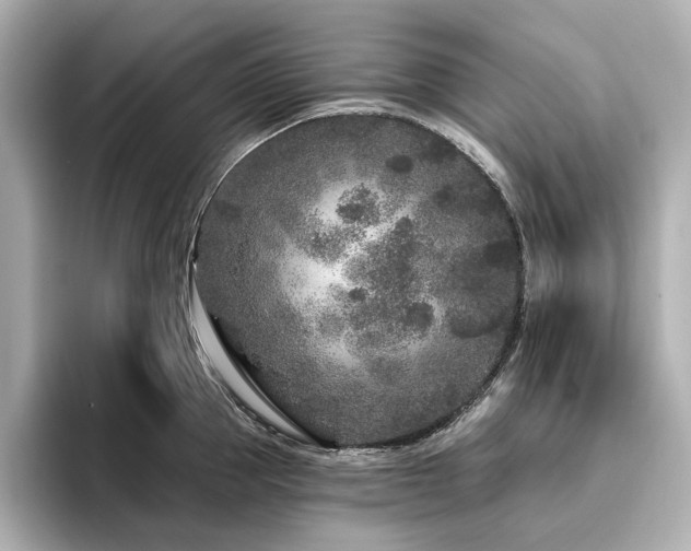 X0000096450953200801241416