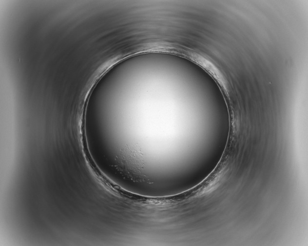 X0000096450954200801241416