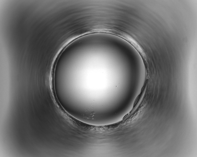 X0000096450955200801241416