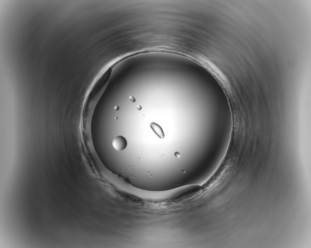X0000096450956200801241416