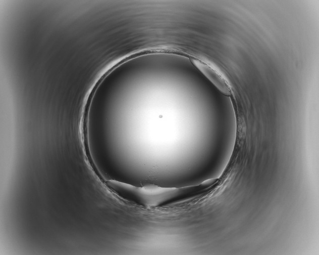 X0000096450959200801241416