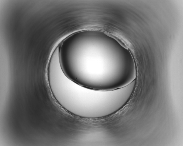X0000096450960200801241416
