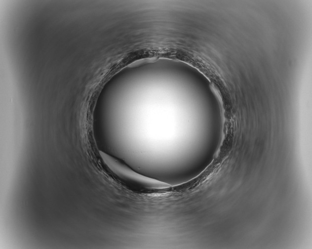 X0000096450961200801241415