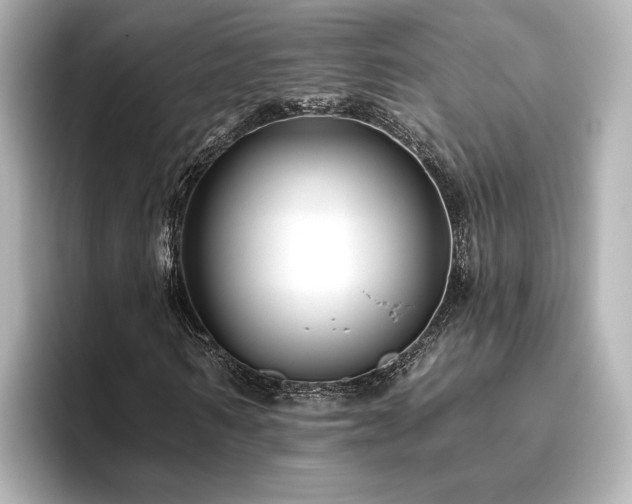 X0000096450962200801241415