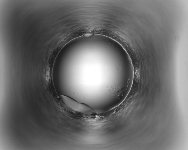 X0000096450963200801241415