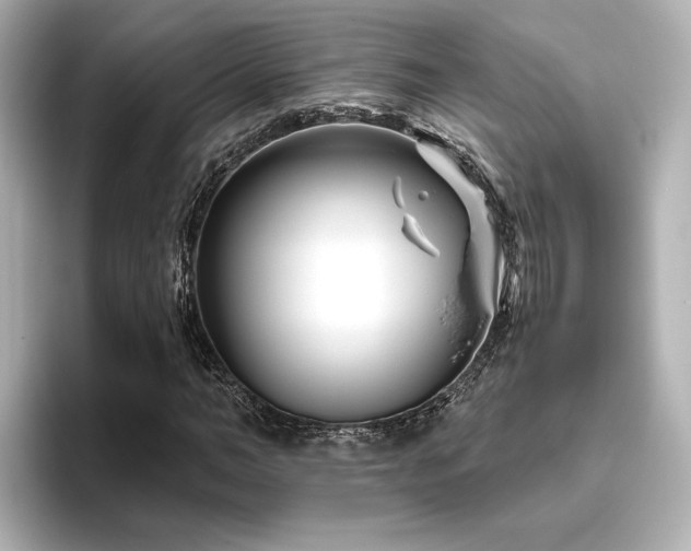 X0000096450966200801241415