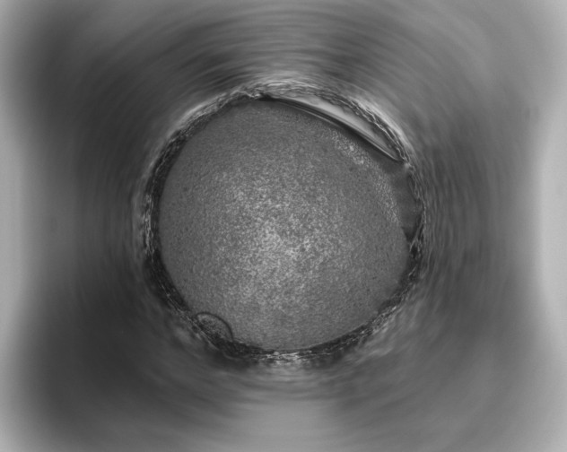 X0000096450968200801241415