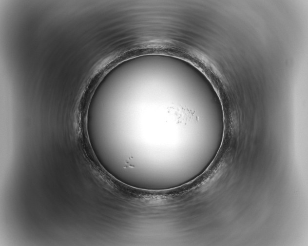 X0000096450970200801241415