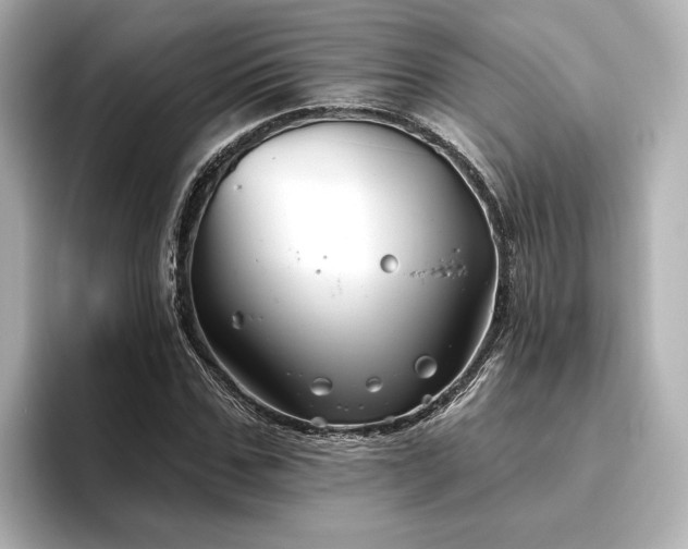 X0000096450971200801241415