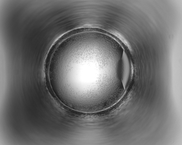 X0000096450972200801241415