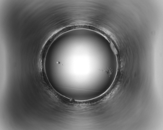 X0000096450973200801241415