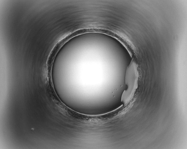 X0000096450974200801241415