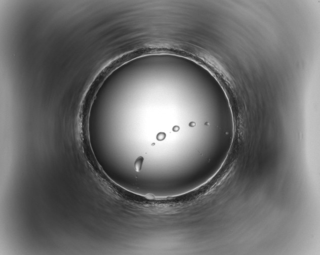 X0000096450976200801241415