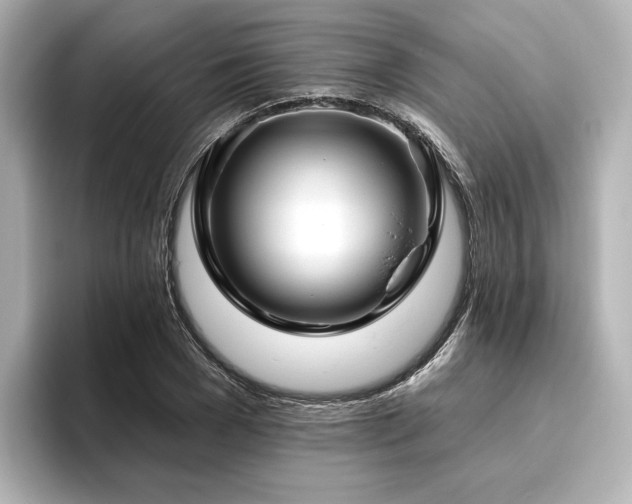 X0000096450977200801241415