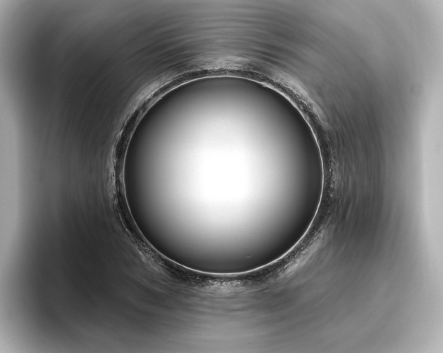 X0000096450978200801241415