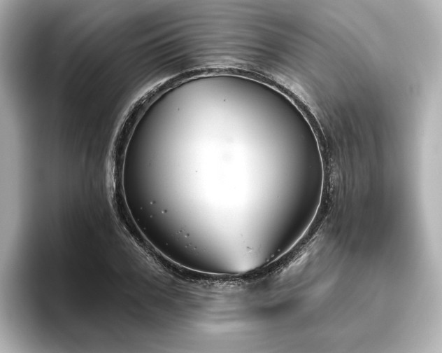 X0000096450979200801241415