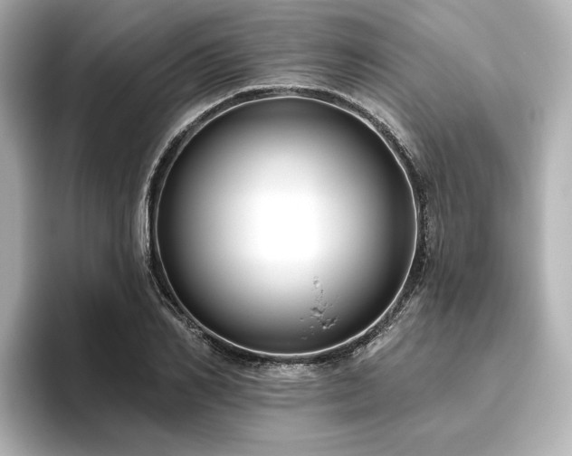 X0000096450982200801241415