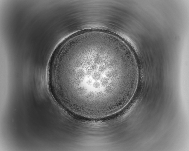 X0000096450983200801241415