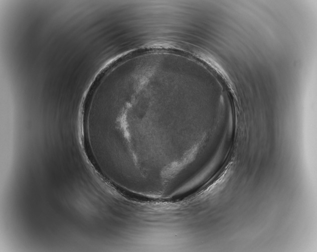 X0000096450984200801241415