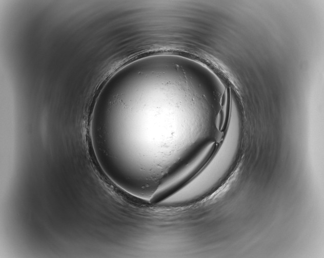 X0000096450985200801241415