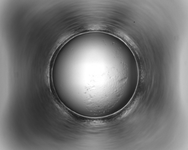 X0000096450986200801241415