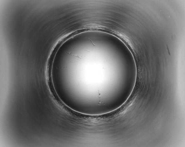 X0000096450987200801241415