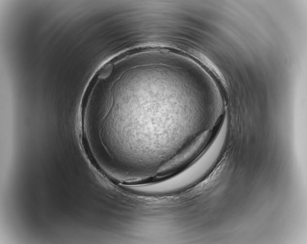 X0000096450988200801241415
