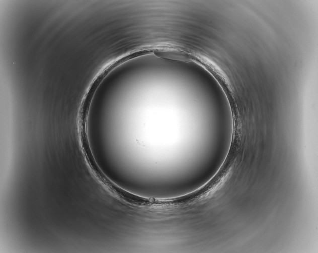 X0000096450989200801241415