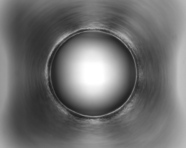 X0000096450990200801241415