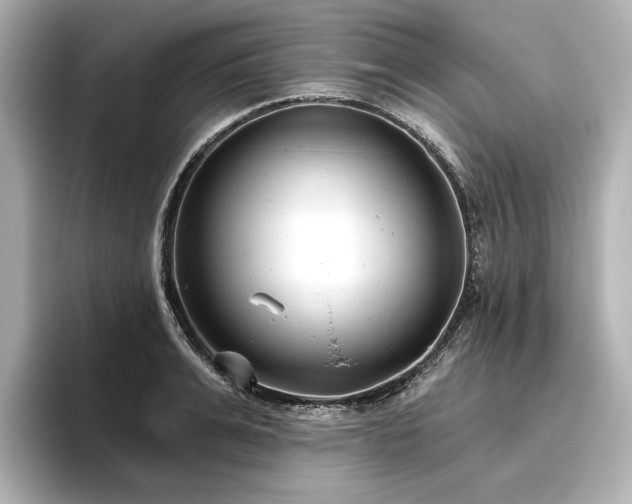 X0000096450991200801241415