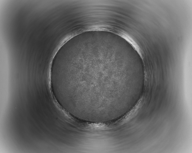 X0000096450994200801241415