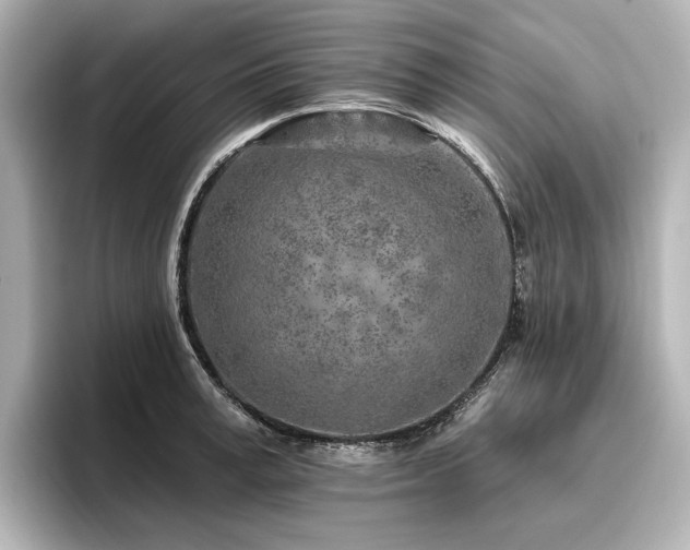 X0000096450995200801241415